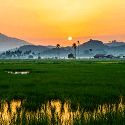 The picture can't be displayed