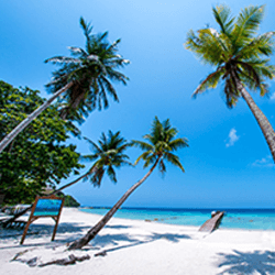 The picture can't be displayed